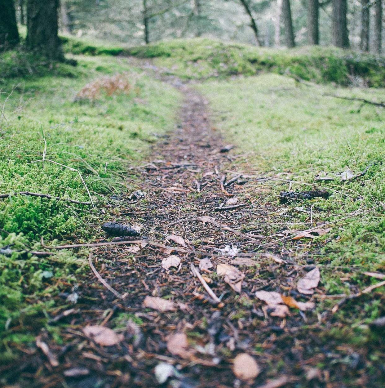 虎牙实名账号：APP详情下载教程一个APP美团