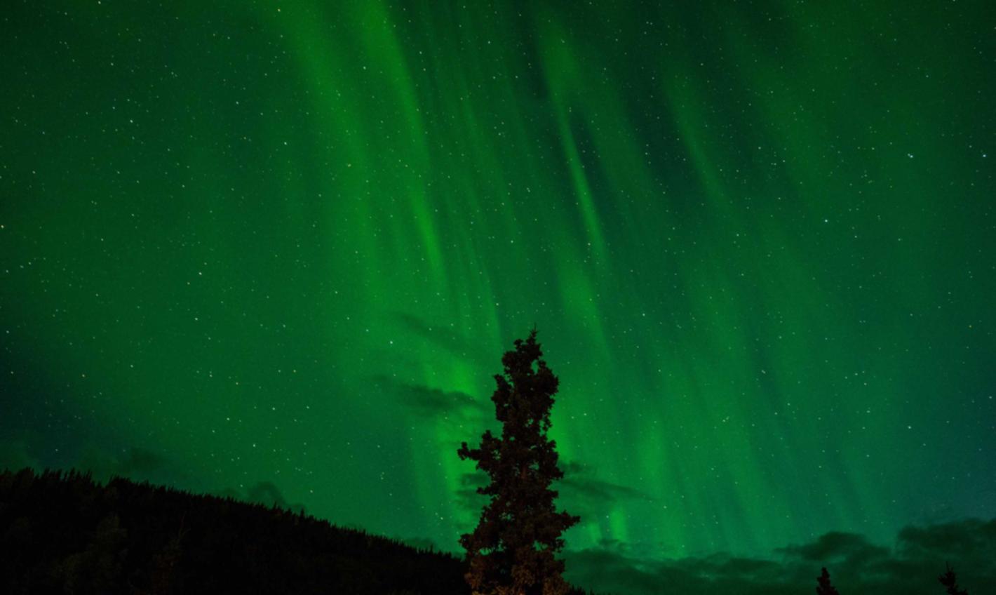 大唐王朝淘宝代理直播平台