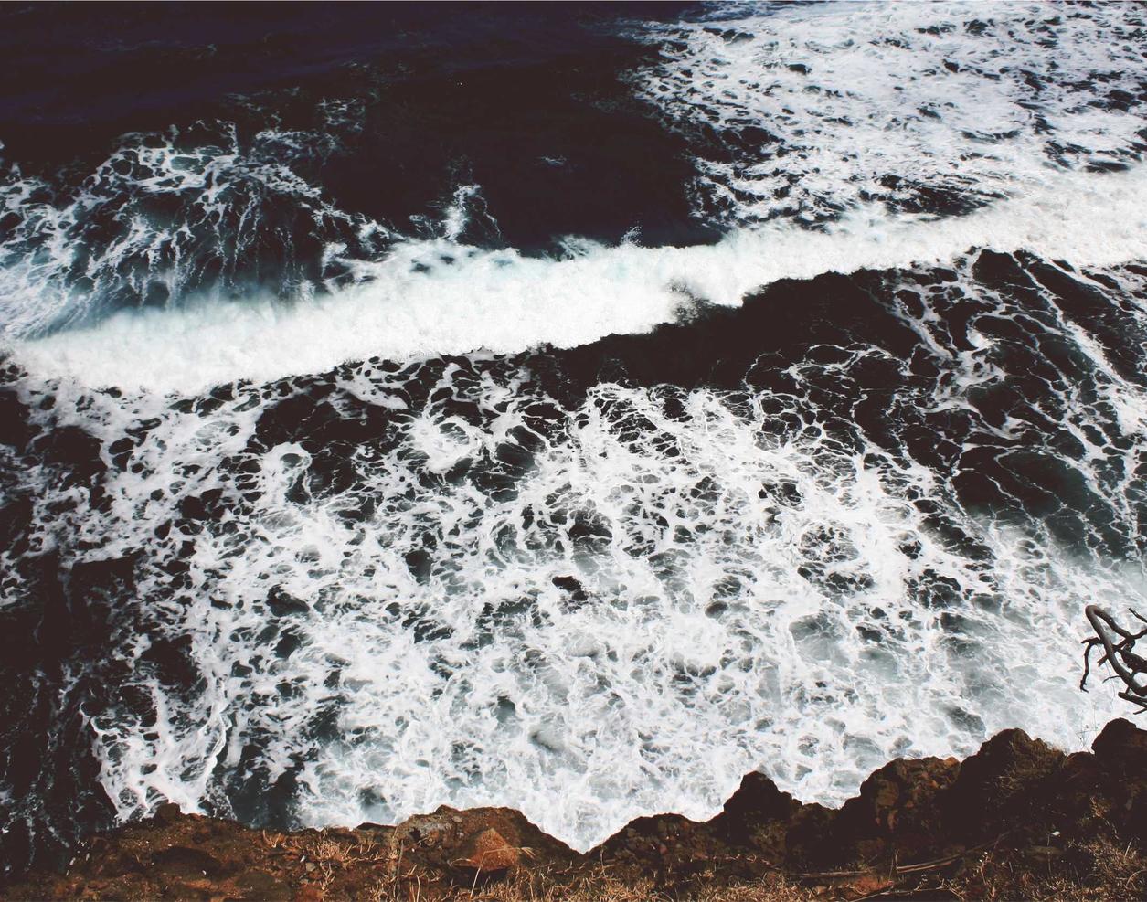 有嘴蓝骆驼:恒耀平台魏开户55145