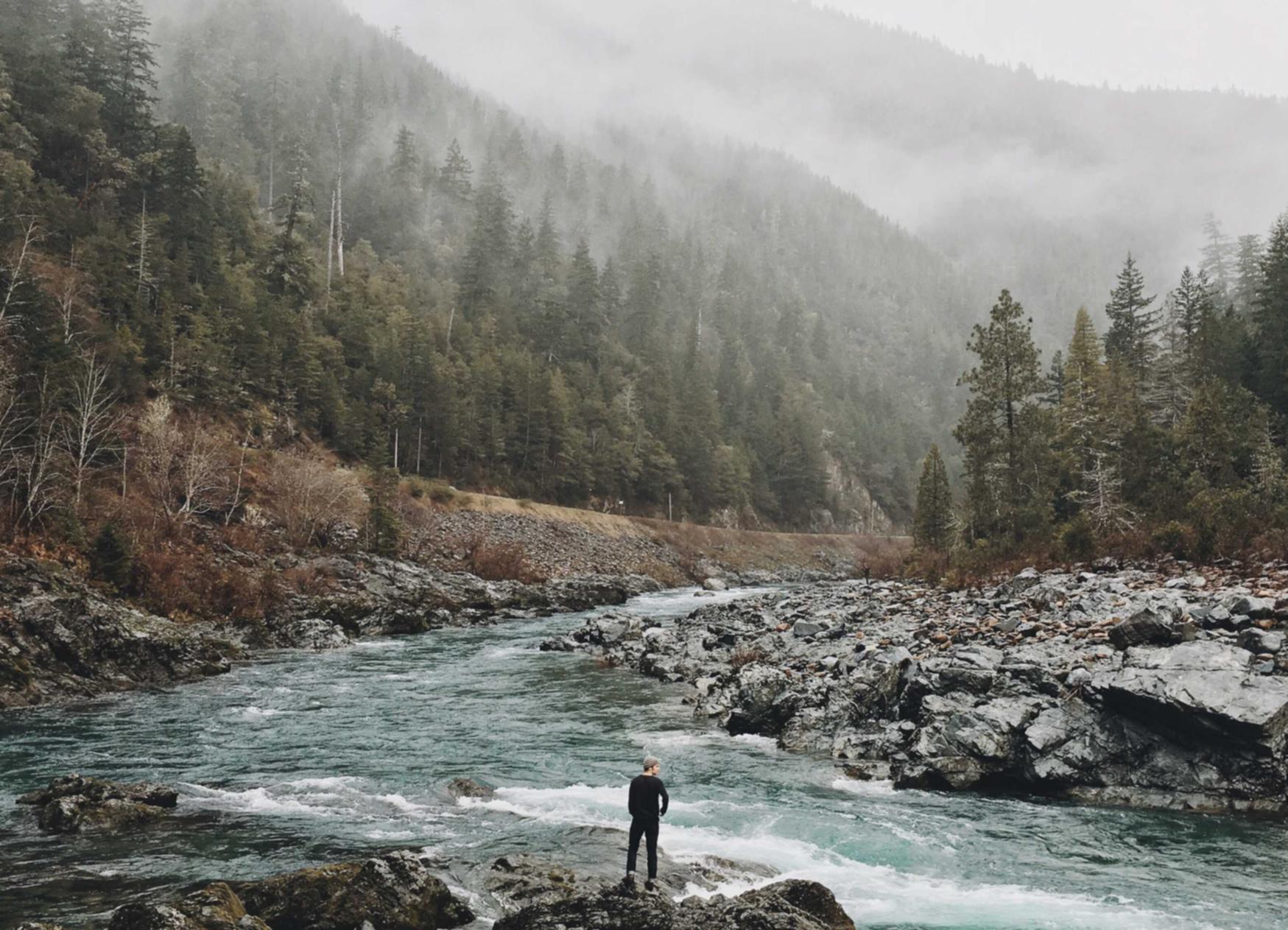 吸烟者清肺过程中的变化