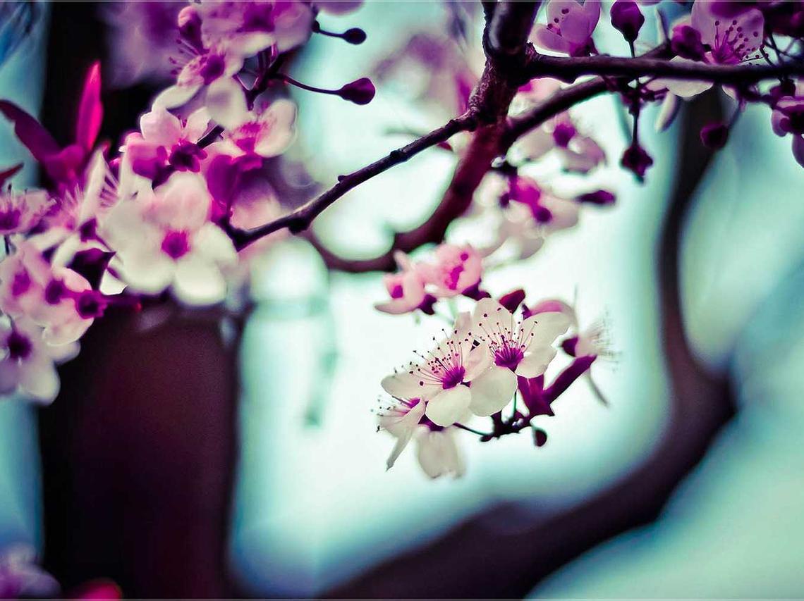 出售微信号码:互联网银行平台代理