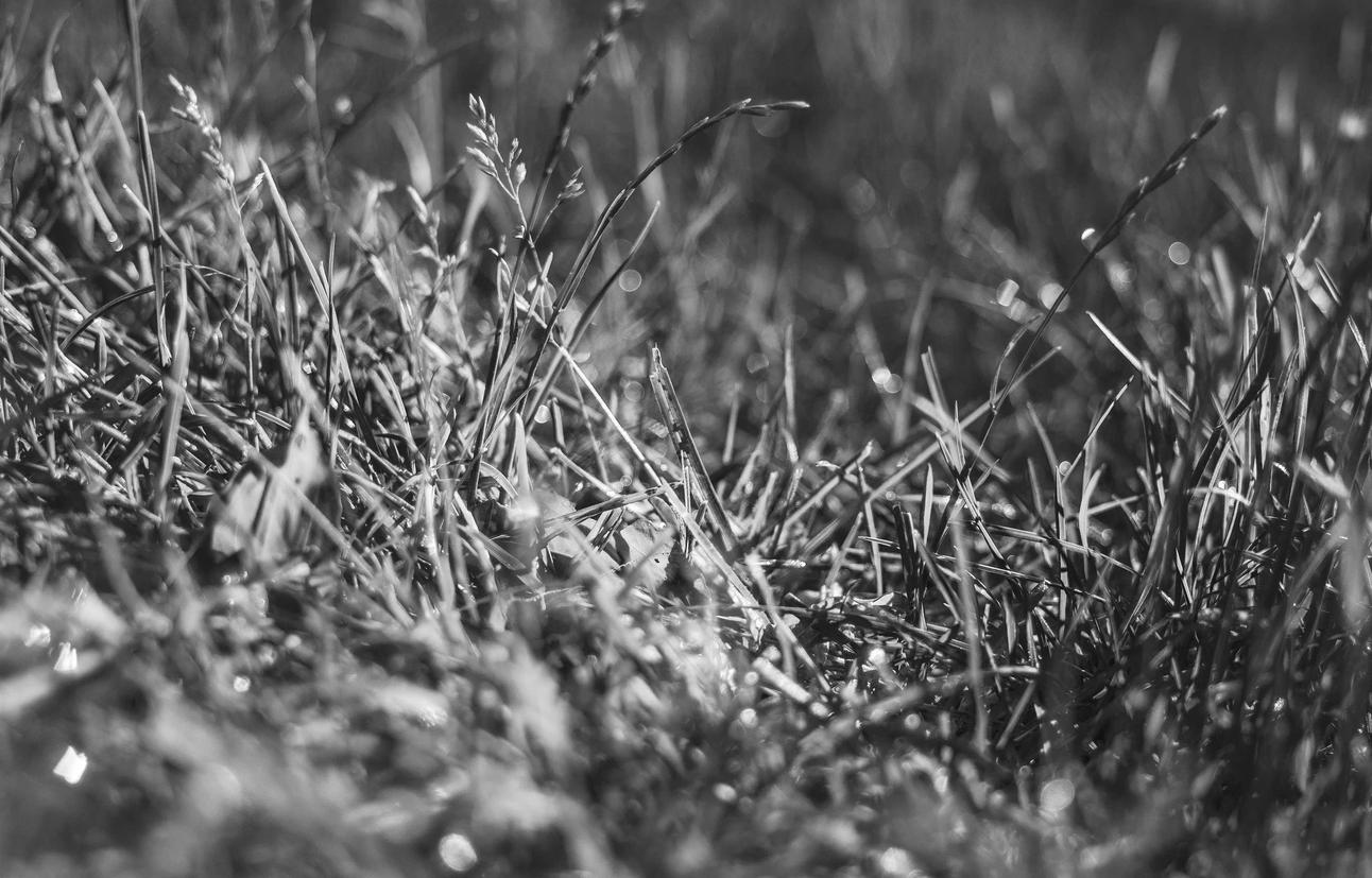 抖音实名账号：罗湖专业注册公司代理