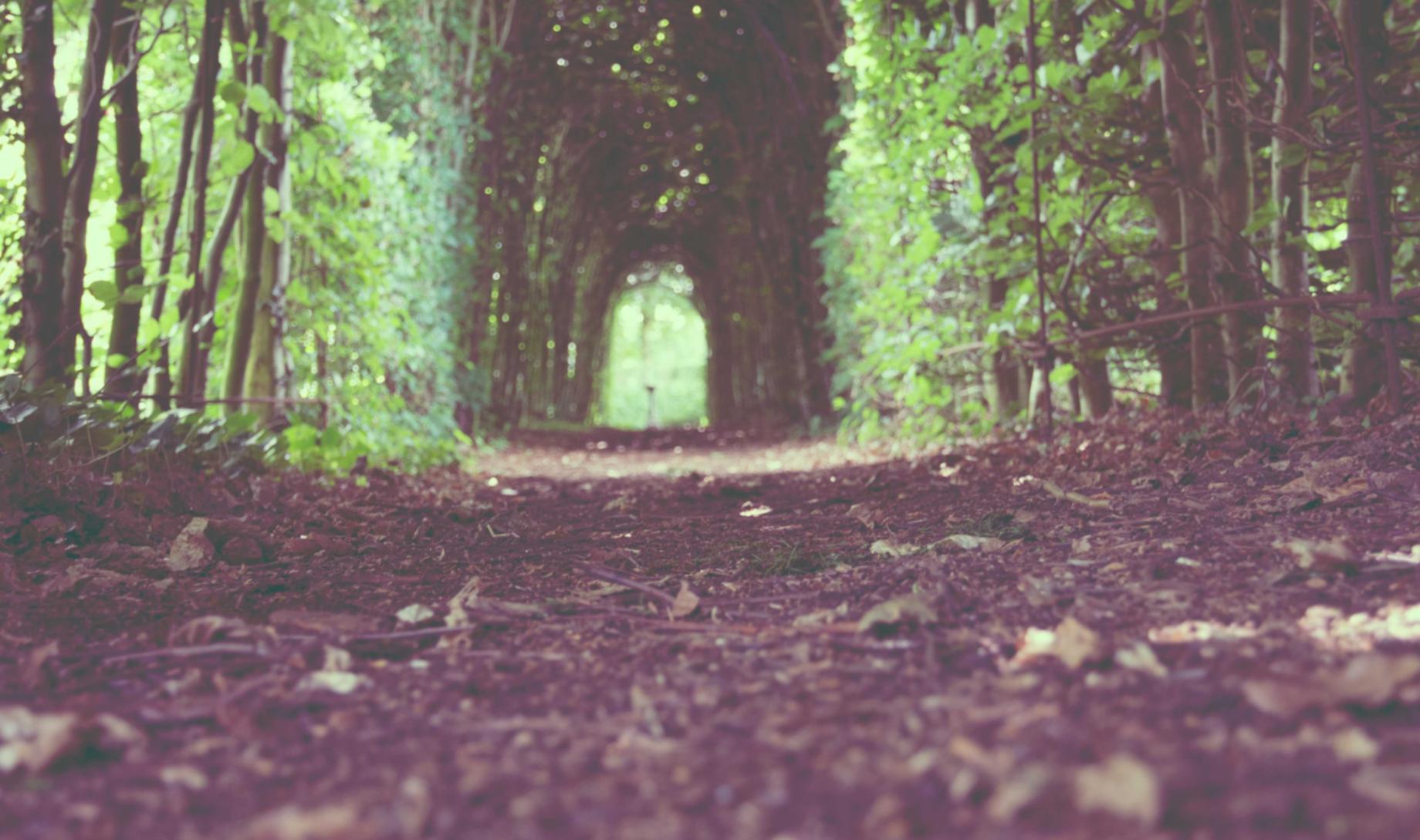 菠萝云实名账号：怎么看有没有注册百度账号