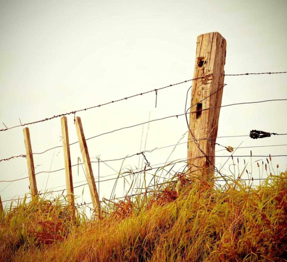 代理注册滴滴司机账号
