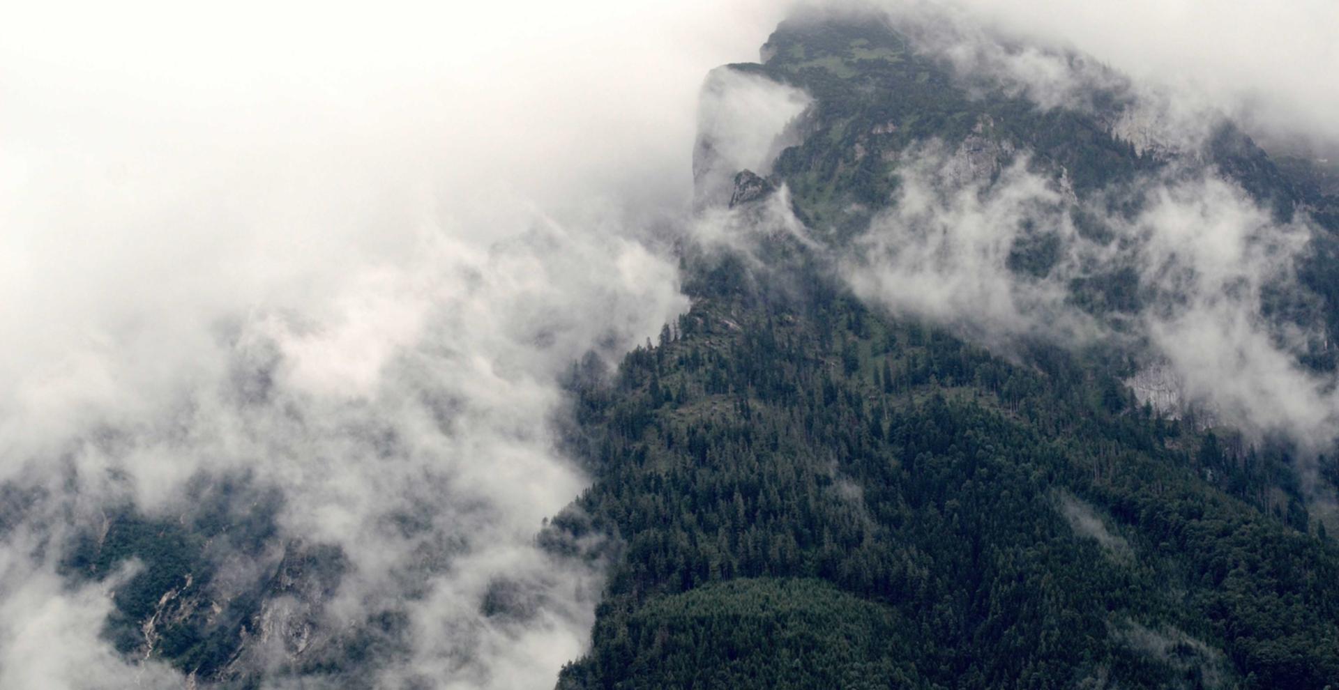 花田实名账号：实名制度如何提升互联网企业的社会责任和社会价值