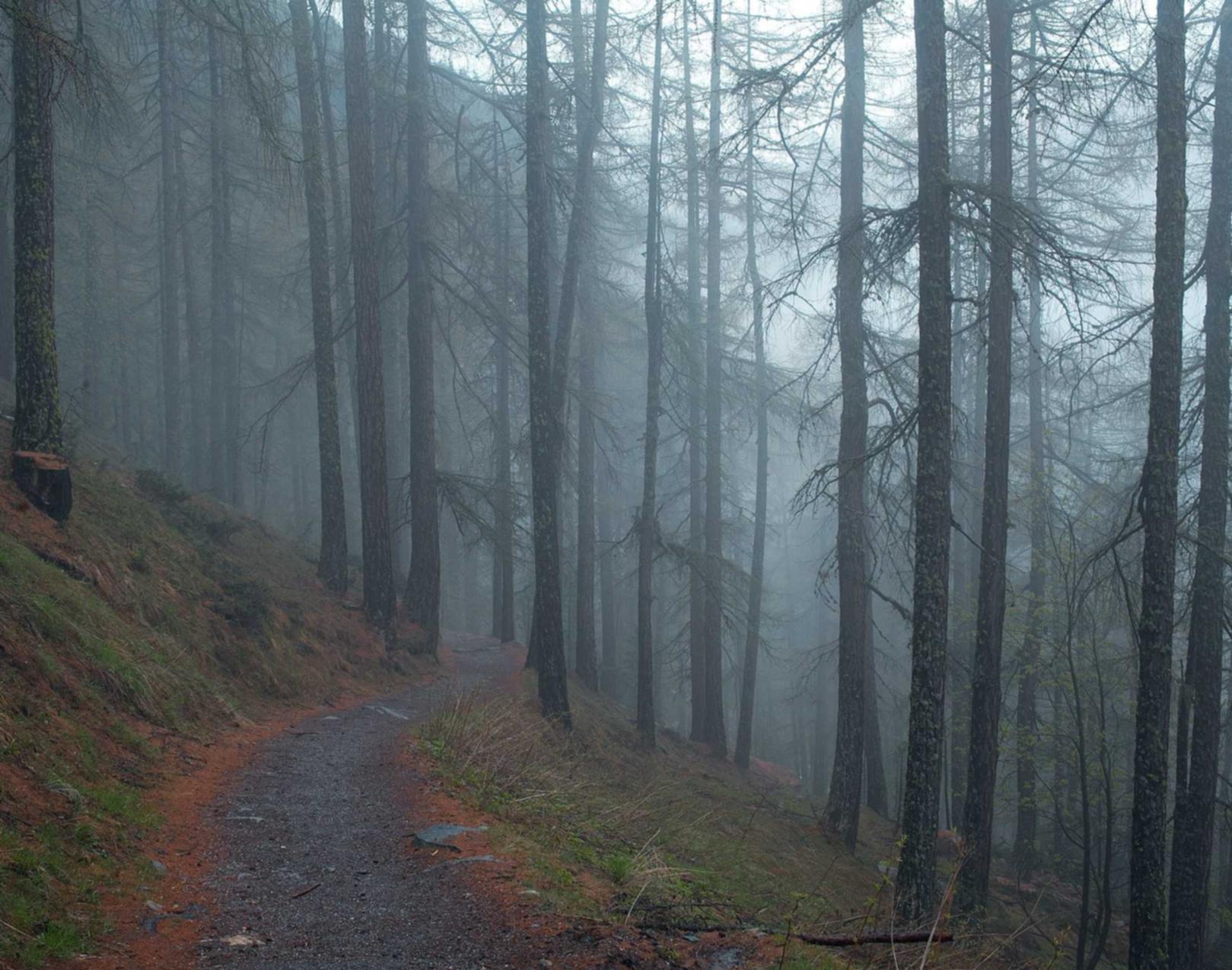 游戏公司应承担多大的责任来防范技术支持?
