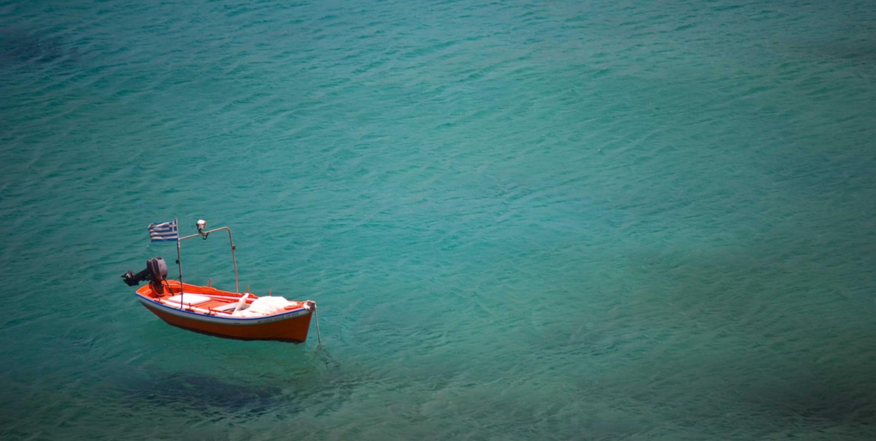 520哈密瓜：福建书画平台代理哪个好