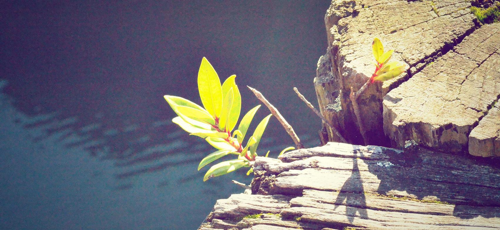 欧盟好彩四味爆珠：那种APP详情下载教程后