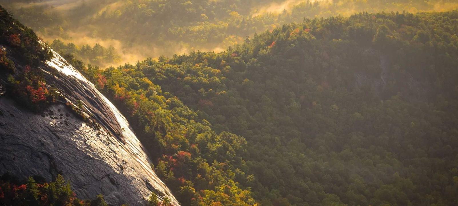 微信老号买卖：嘉卡贷app在哪详情下载教程