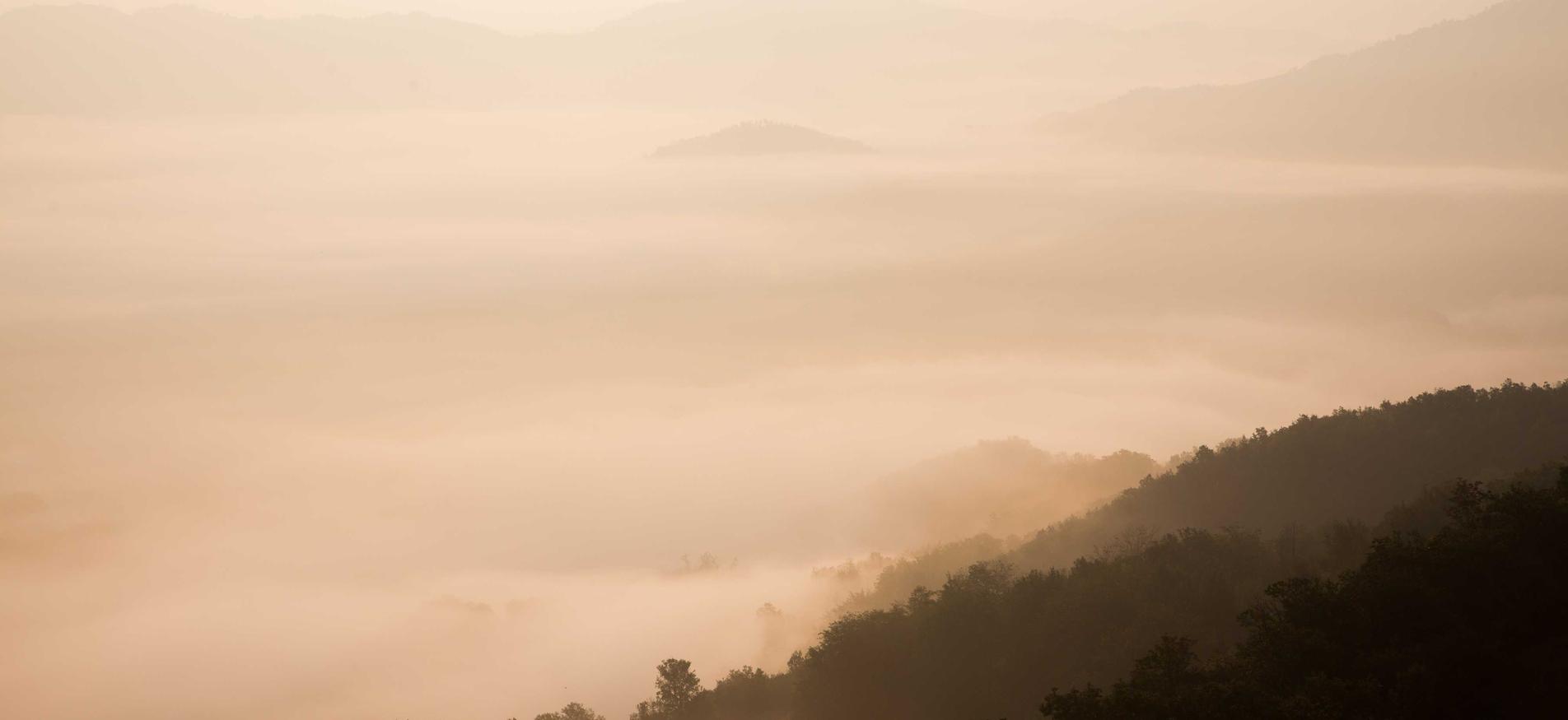 解读电信遭DDOS攻击- 项城美食购买平台