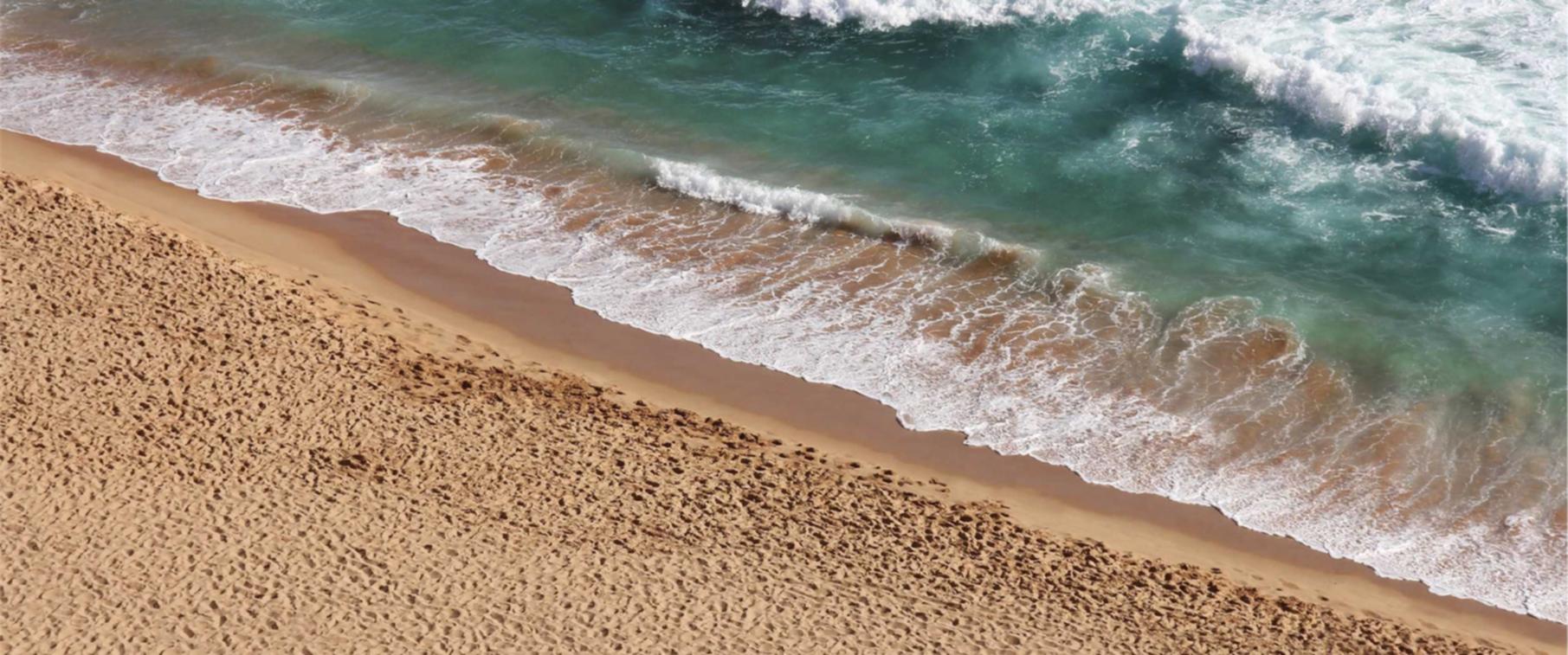 cc网页端|如何进行密码管理，防止黑客入侵