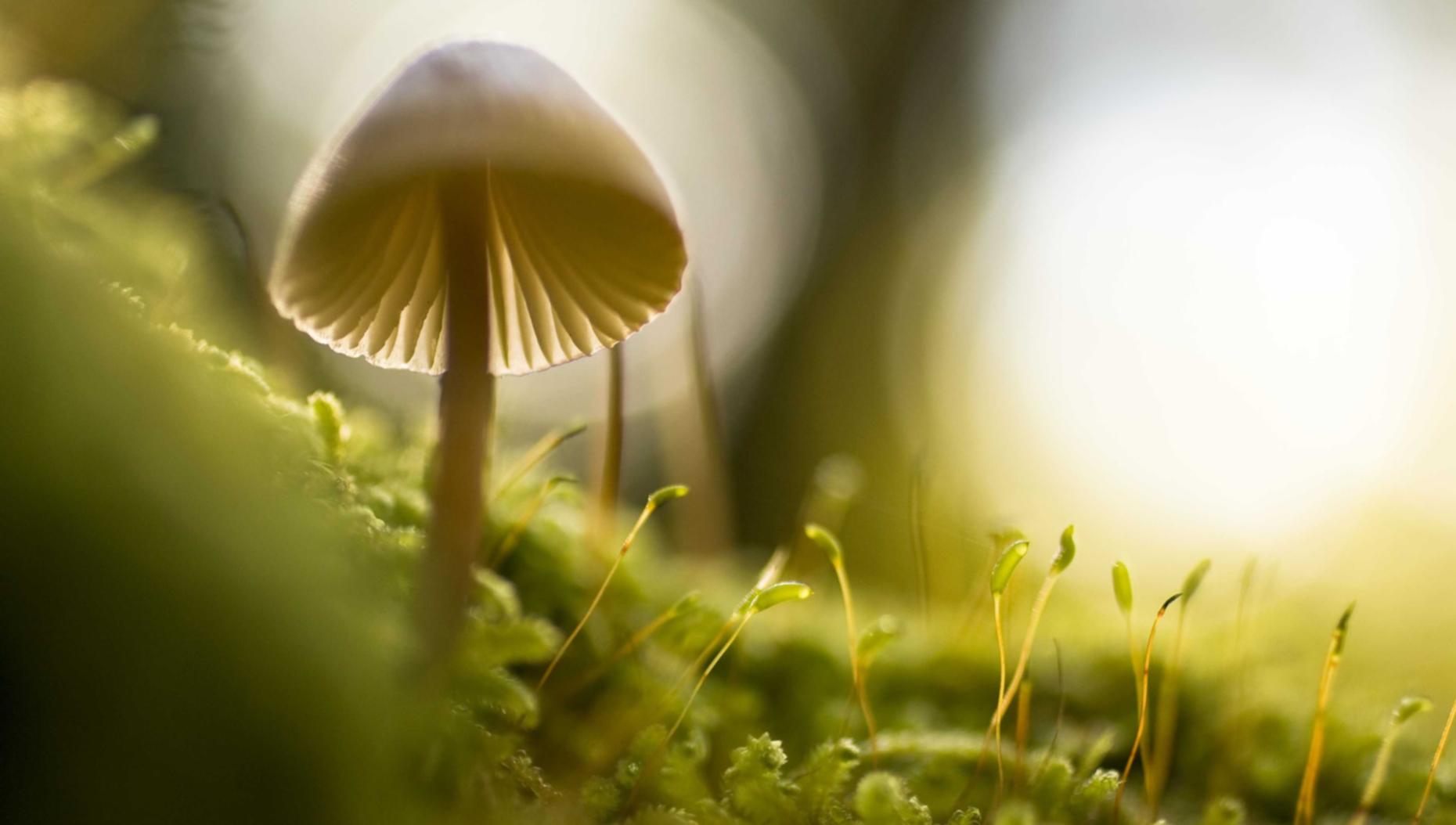 酷信170实名账号：实名认证如何规范电子证照