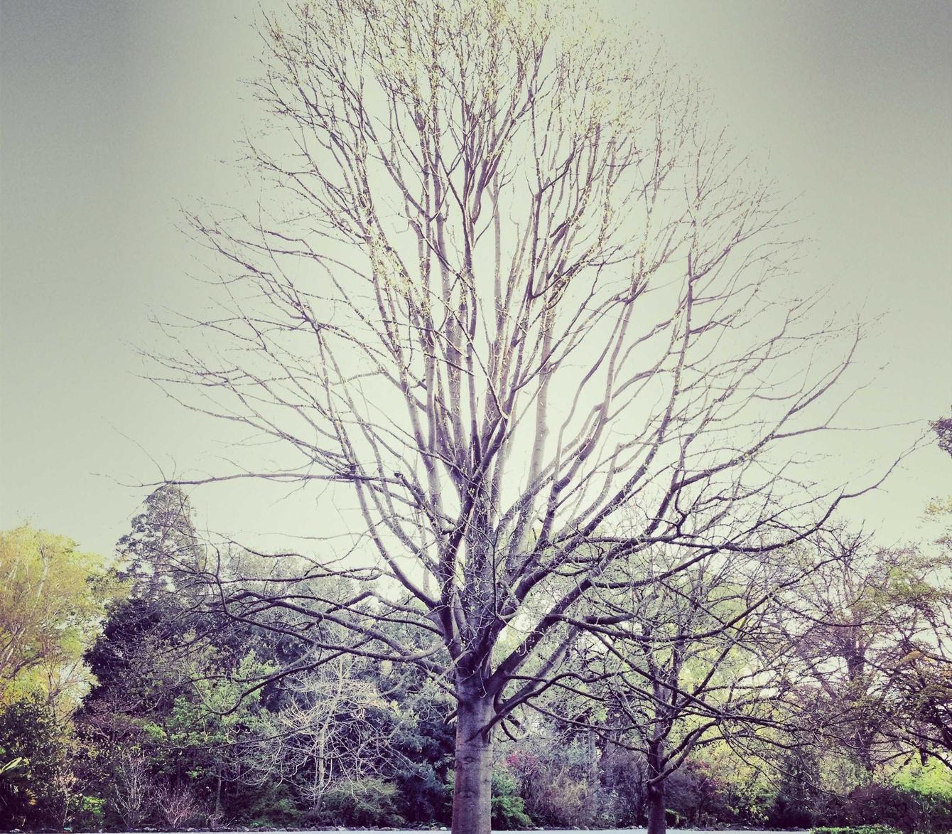 中国广电实名账号：App 详情下载教程中