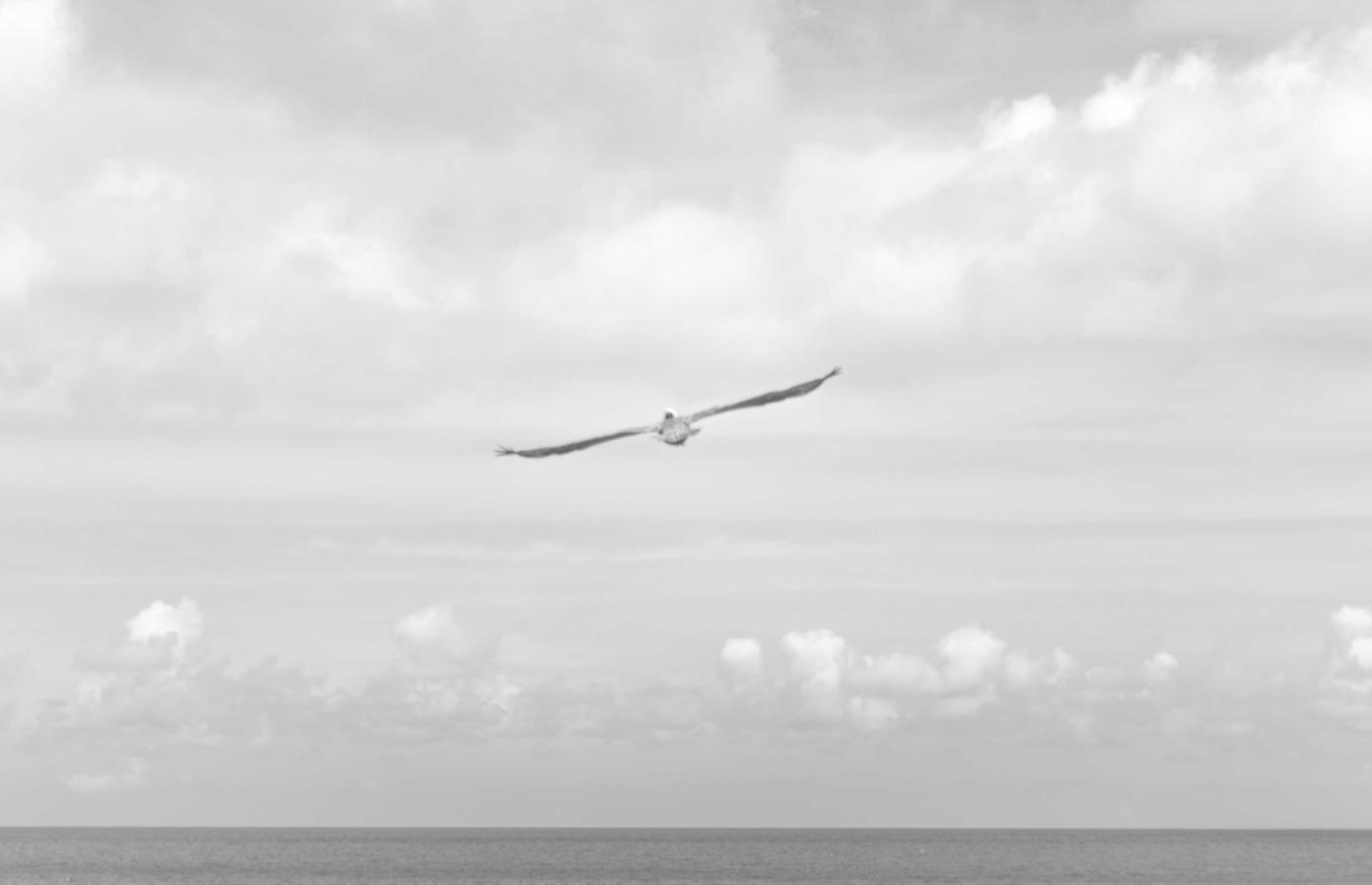 西部数码实名账号：大连社保app详情下载教程