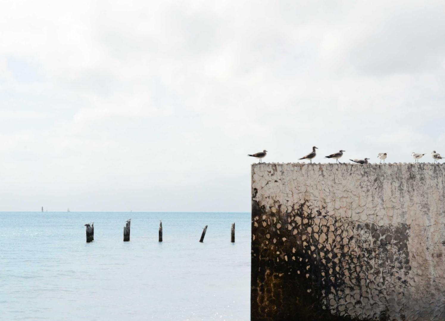 炸房器|37游戏平台代理