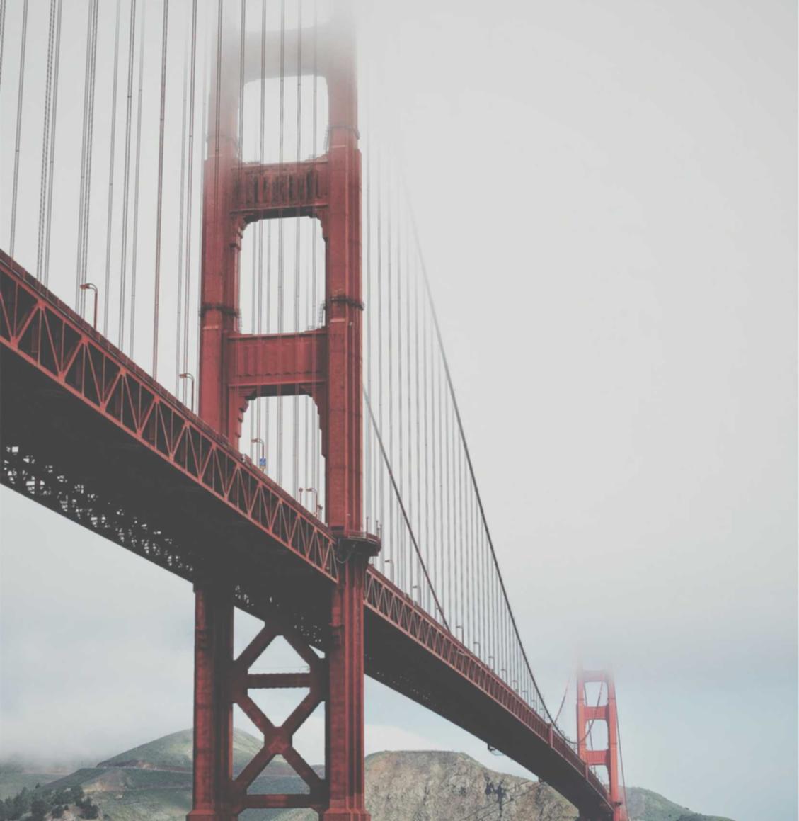 黑标七星：金融公司代理注册