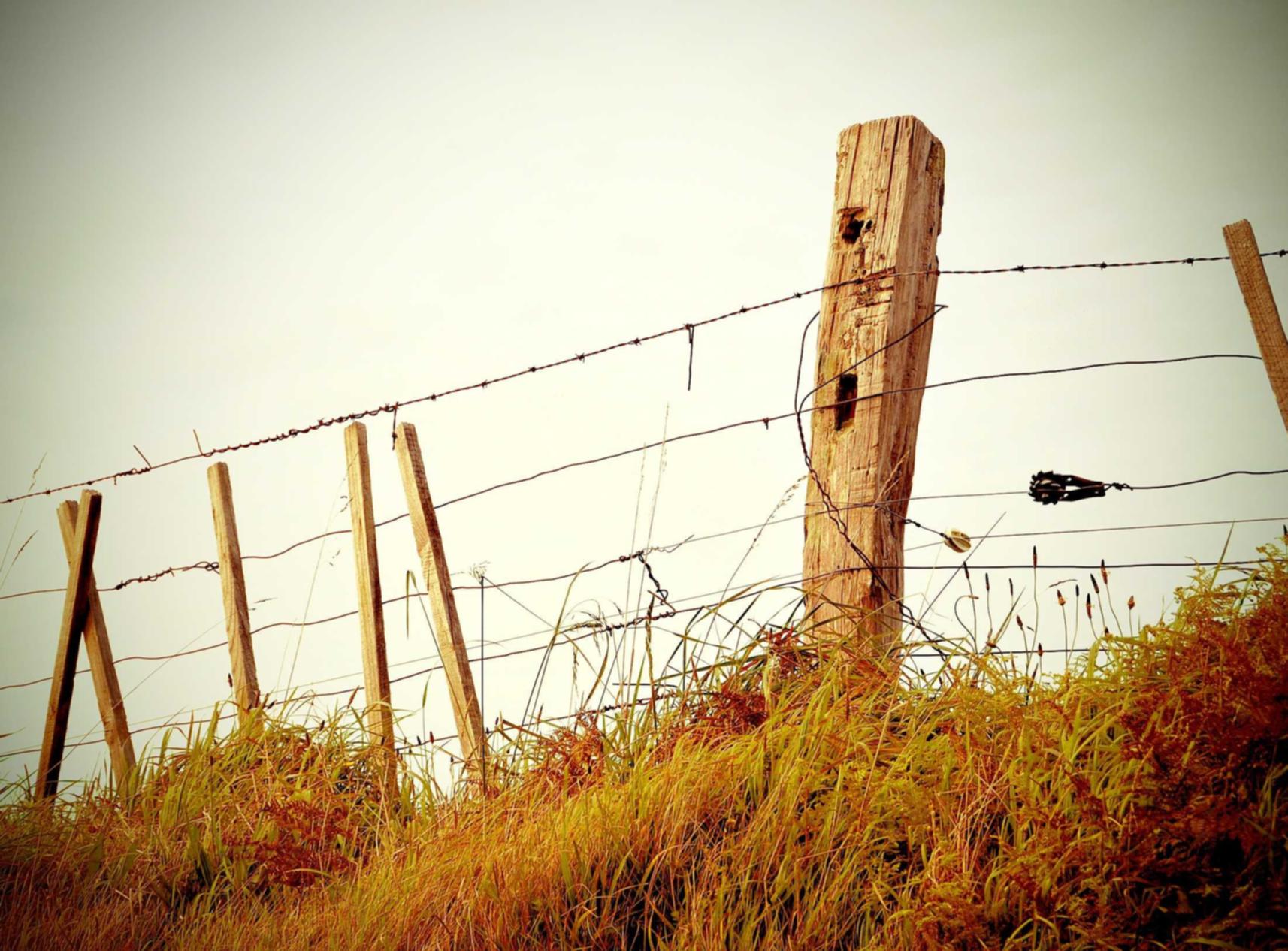 soul灵魂实名账号:建邺代理注册商标公司