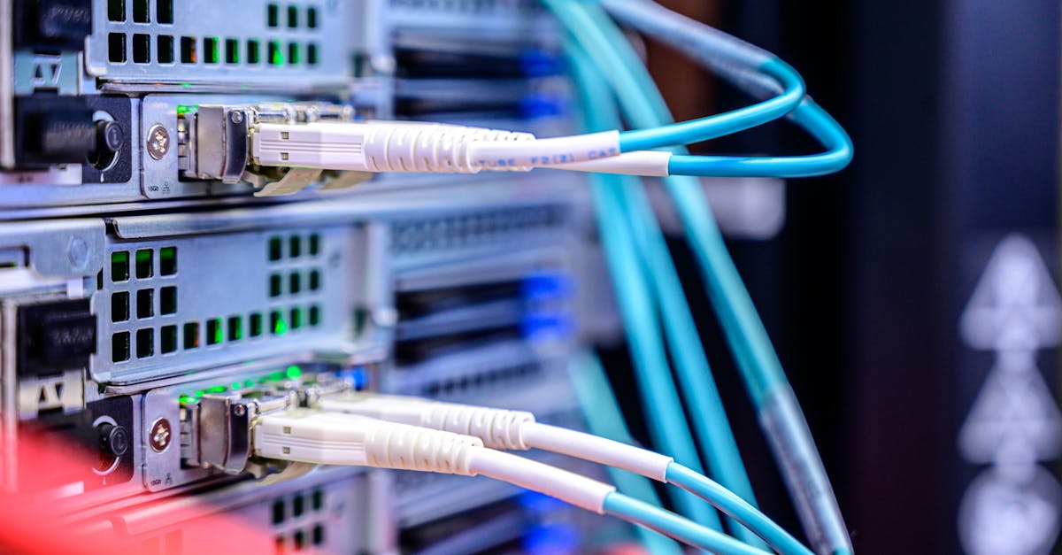 暗夜兵团辅助- 麻城注册公司代理费用