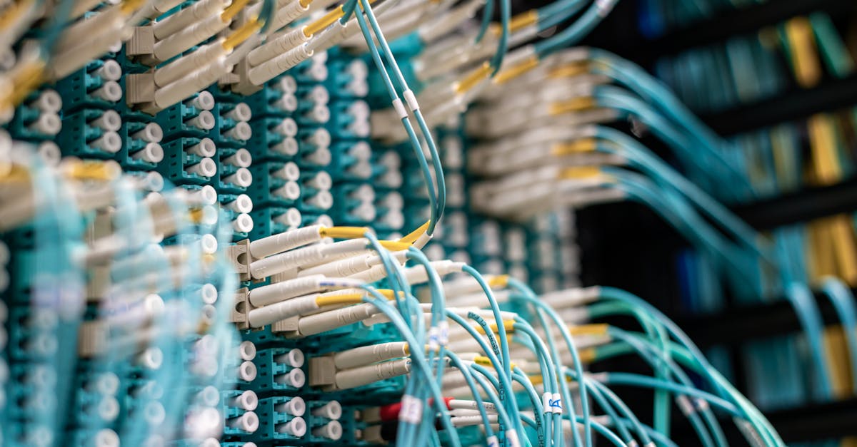 云上城之歌:蜜柚直播app详情下载教程