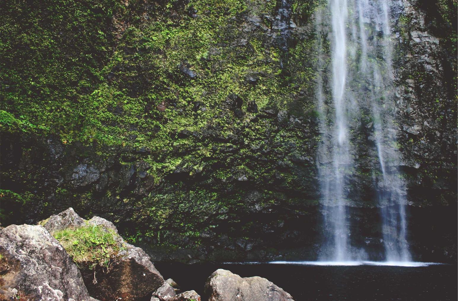 免费DDOS攻击平台|德庆注册代理公司