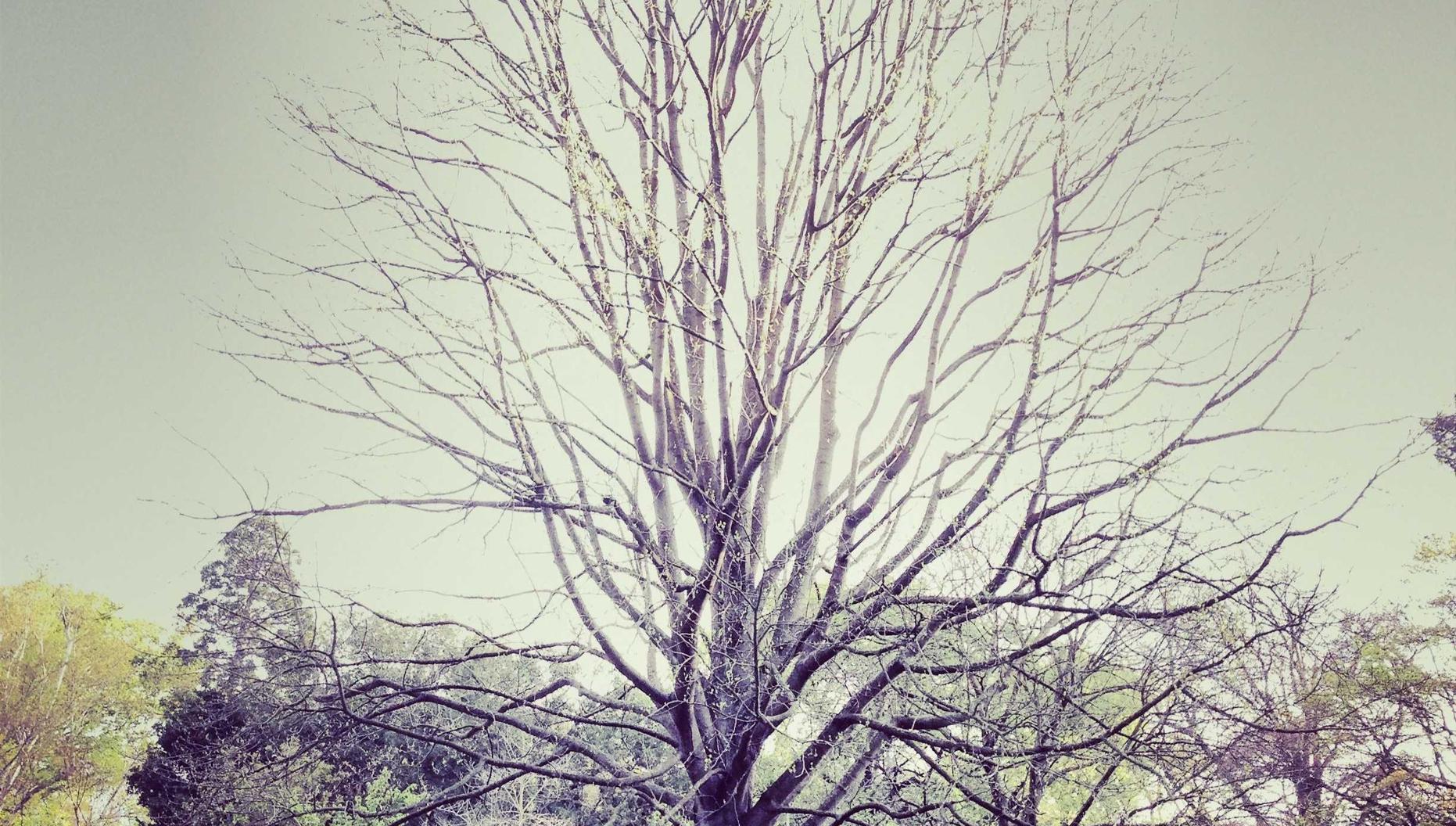 吉林政府采购平台代理