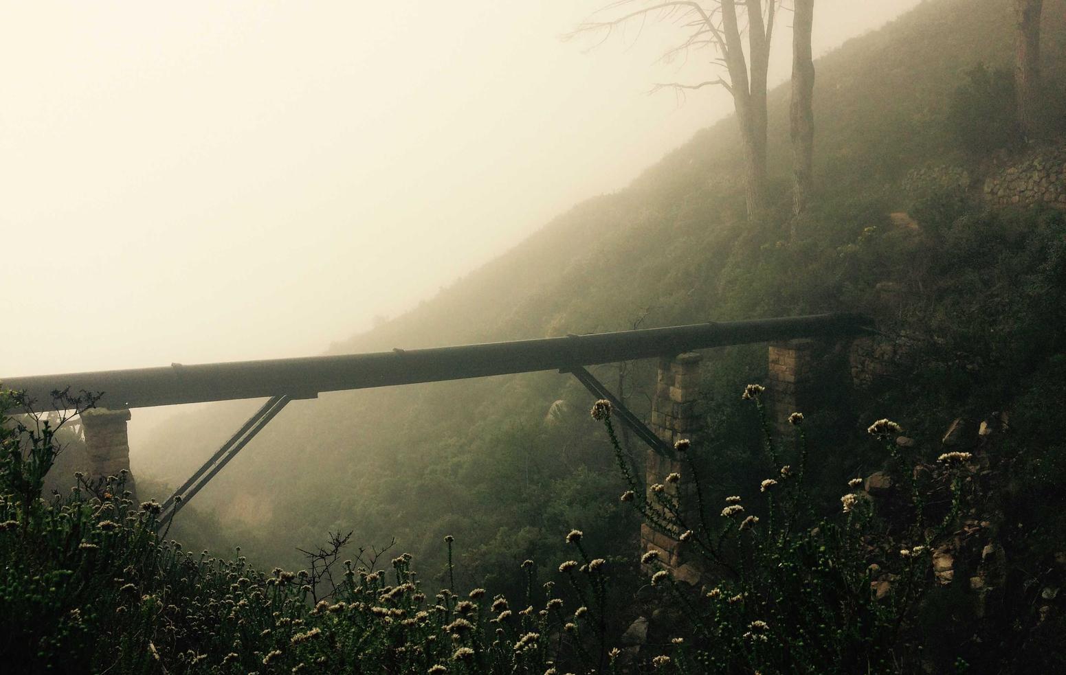 豆瓣实名账号:工商注册代理公司怎么咨询