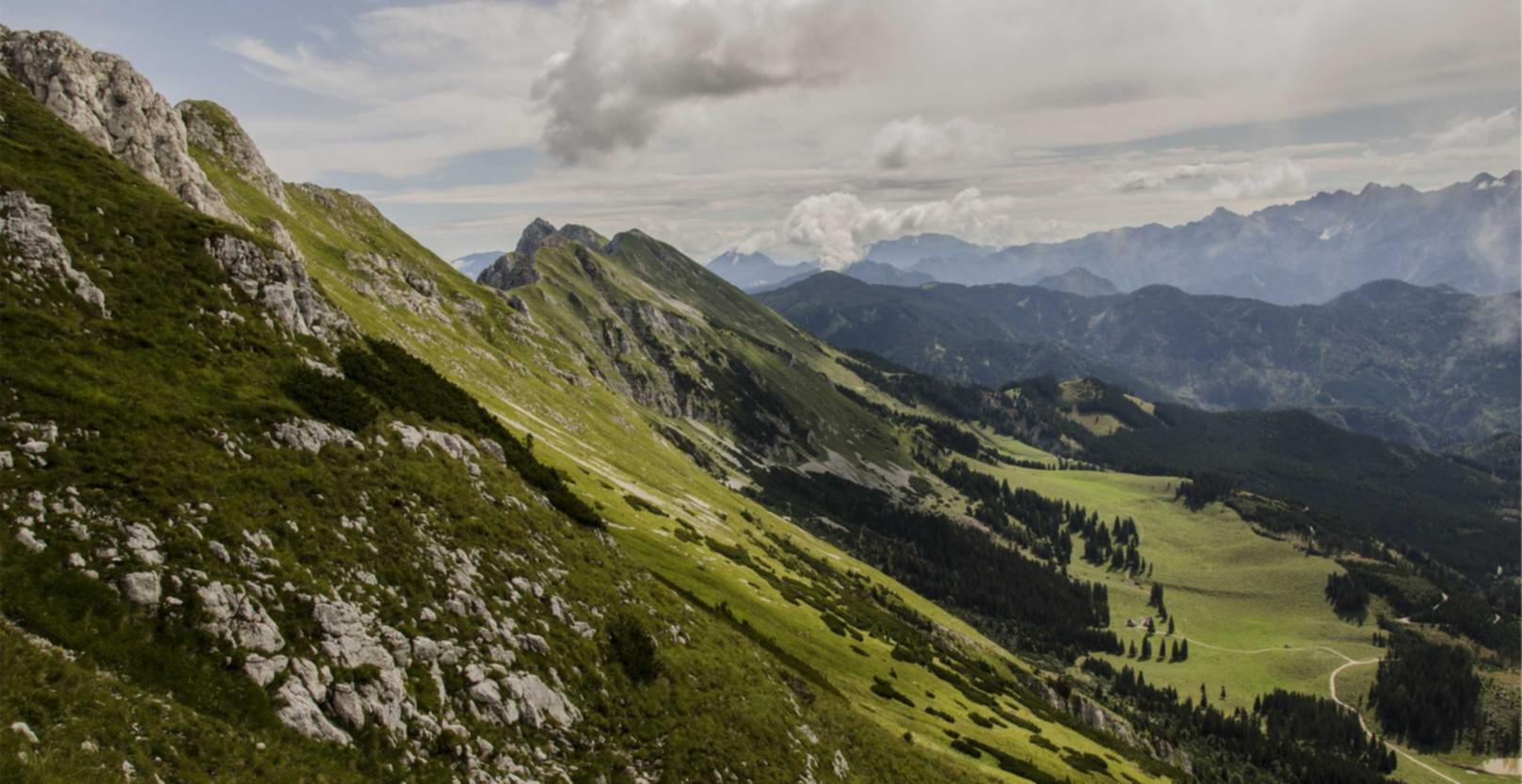 LOST LIGHT:购买账号成本优化网址