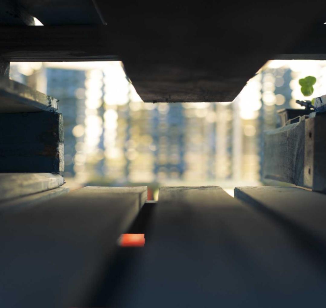 皇家88不一样的农产品：通过营销让消费者感受健康食品