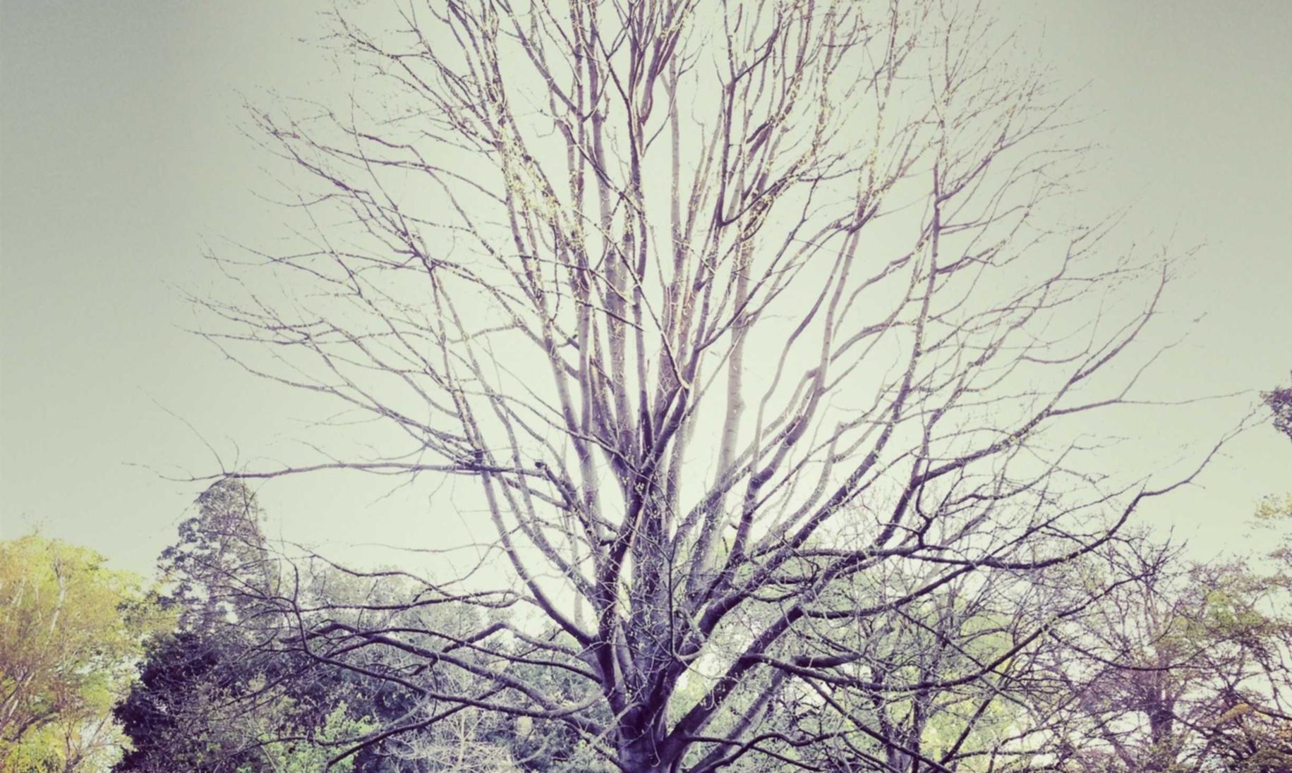 七星柔和9mg:如何注册京东代理