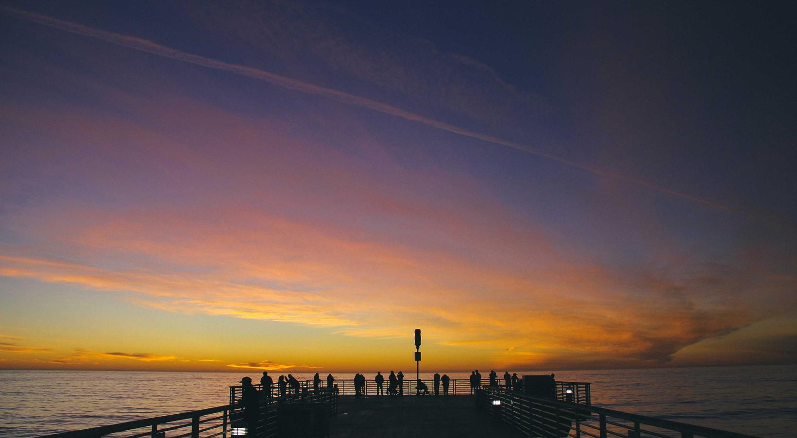 无嘴黄骆驼:苏州代理注册公司代理费用